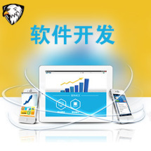 軟件外包服務(wù)全解析 報(bào)價(jià)、收費(fèi)模式與九品制服務(wù)分級